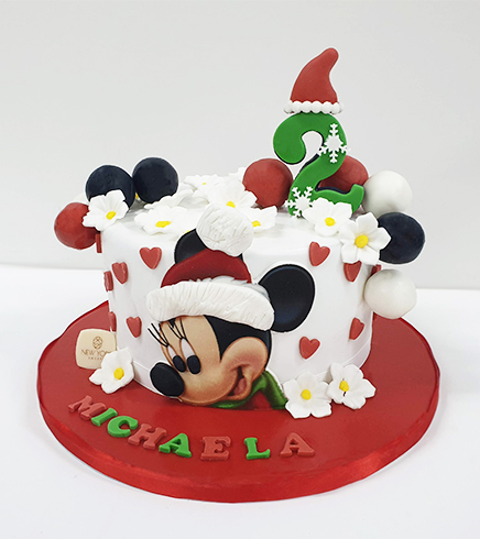 Christmas Design Cake 10