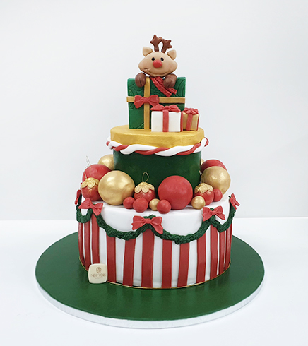 Christmas Design Cake 11