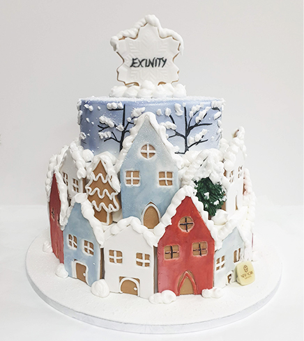 Christmas Design Cake 13