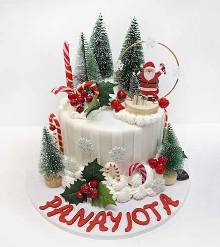 Christmas Design Cake 15