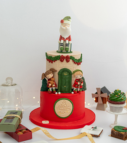 Christmas Design Cake 20