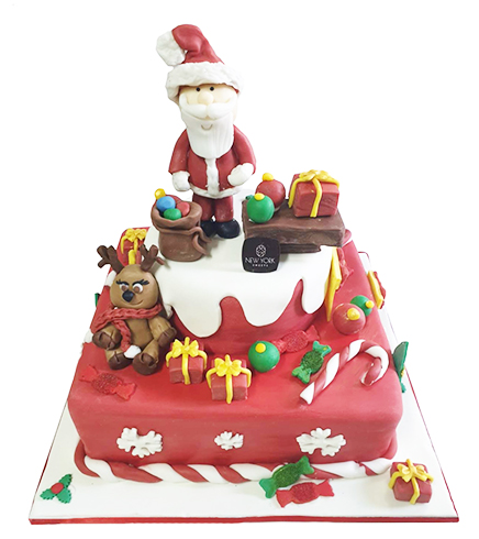 Christmas Design Cake 03