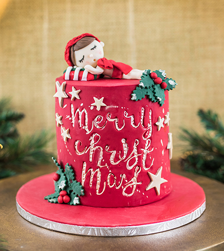 Christmas Design Cake 07