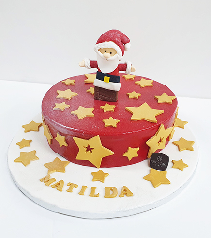 Christmas Design Cake 08