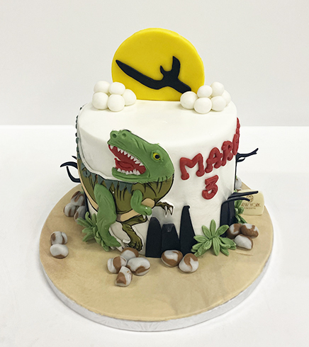 Dinosaur Cake 01