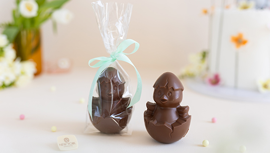 Chocolate Easter Chick